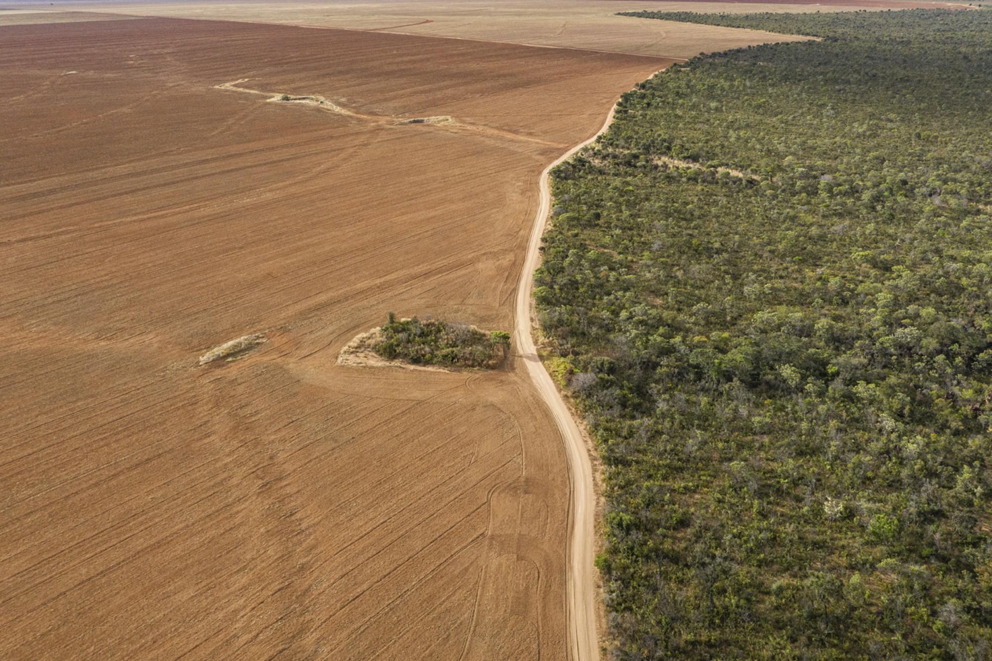 deforestacion brsail frontera